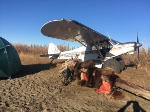 2018 Grizzly Bear Hunts - BB5